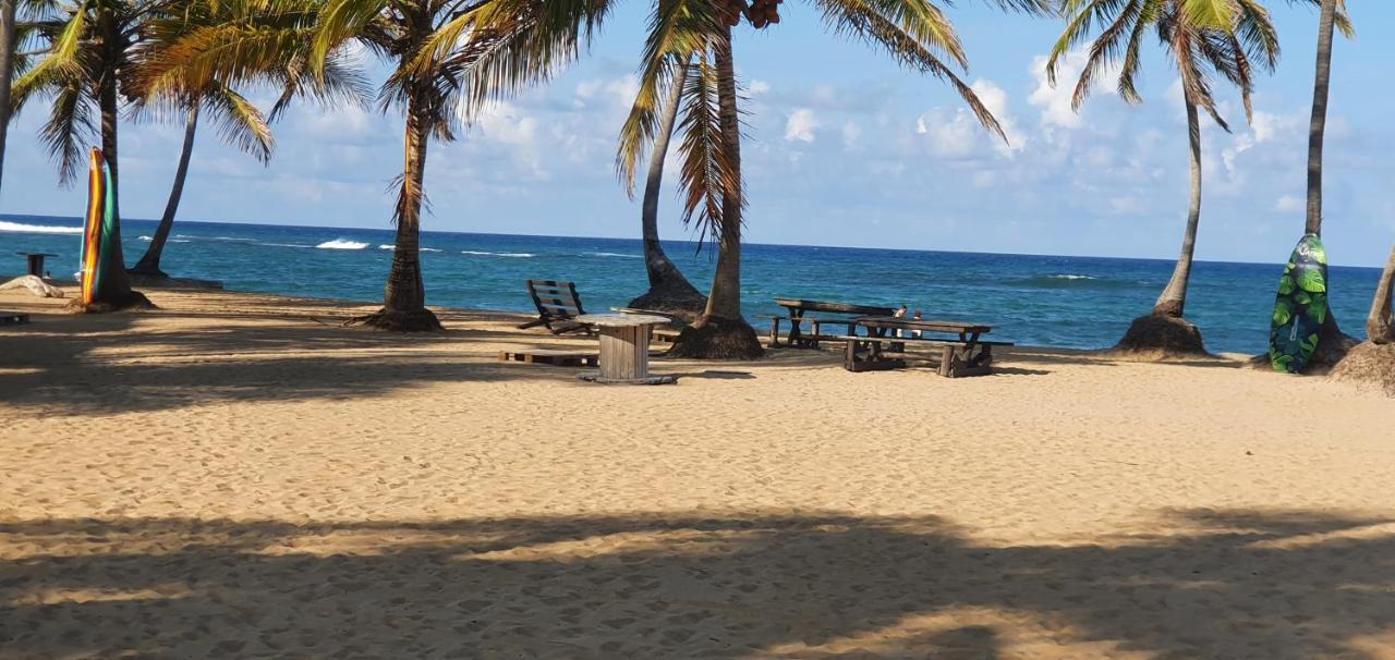 Puntacana Ecolodge Lavacama Beach Costa Arrecife By Aa Crypto Group Punta Cana Eksteriør bilde
