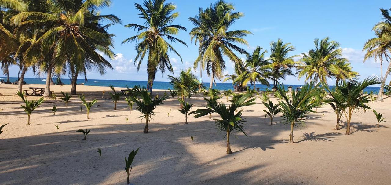 Puntacana Ecolodge Lavacama Beach Costa Arrecife By Aa Crypto Group Punta Cana Eksteriør bilde