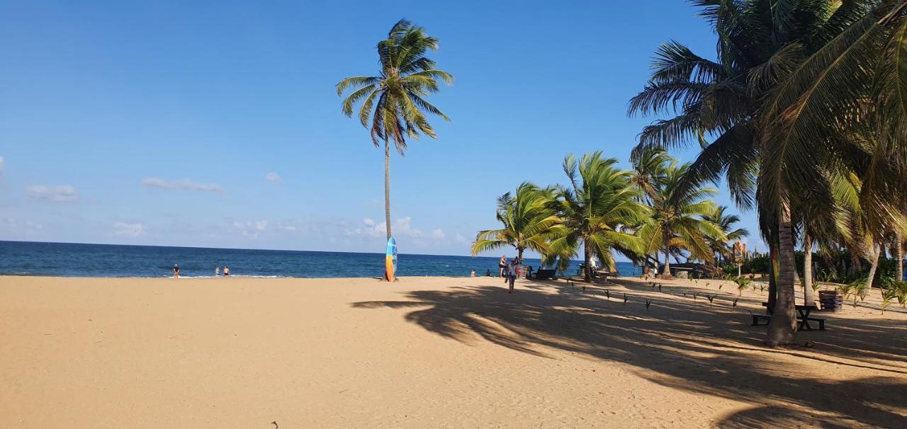 Puntacana Ecolodge Lavacama Beach Costa Arrecife By Aa Crypto Group Punta Cana Eksteriør bilde