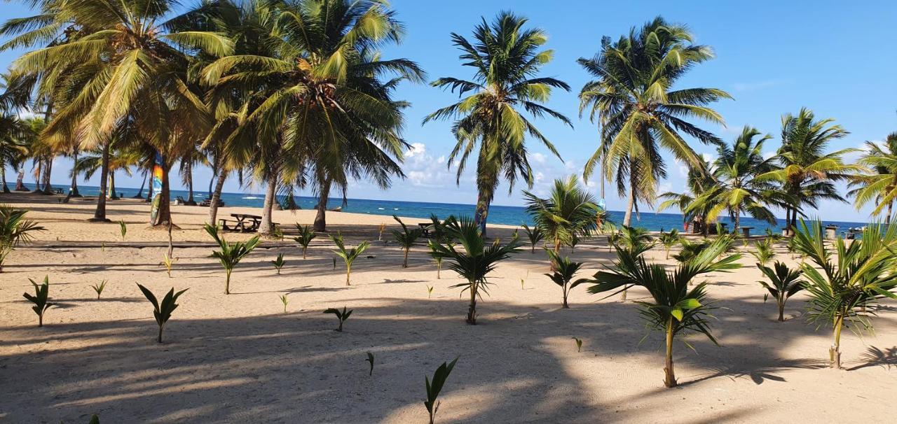 Puntacana Ecolodge Lavacama Beach Costa Arrecife By Aa Crypto Group Punta Cana Eksteriør bilde