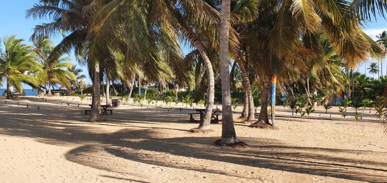 Puntacana Ecolodge Lavacama Beach Costa Arrecife By Aa Crypto Group Punta Cana Eksteriør bilde