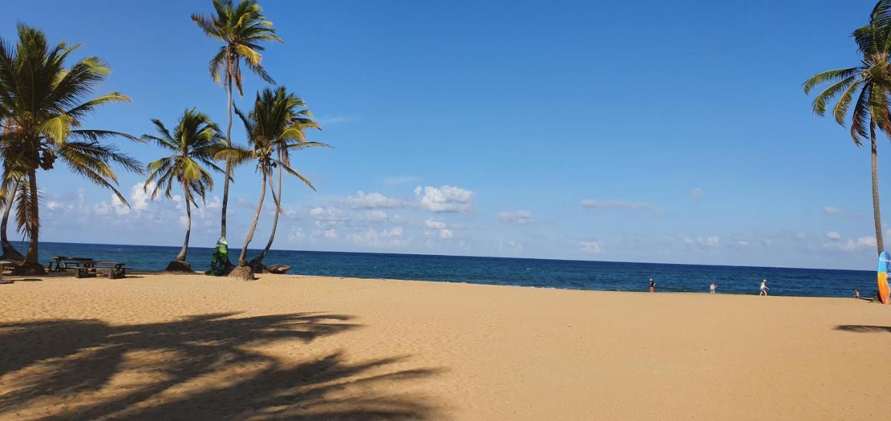 Puntacana Ecolodge Lavacama Beach Costa Arrecife By Aa Crypto Group Punta Cana Eksteriør bilde
