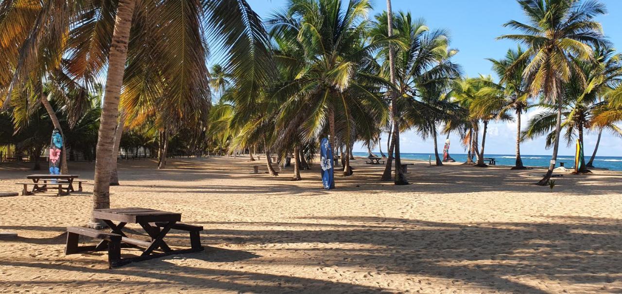 Puntacana Ecolodge Lavacama Beach Costa Arrecife By Aa Crypto Group Punta Cana Eksteriør bilde
