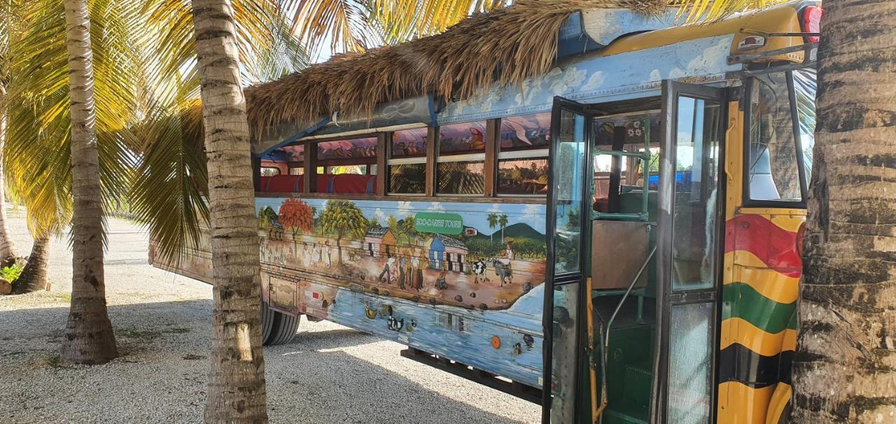 Puntacana Ecolodge Lavacama Beach Costa Arrecife By Aa Crypto Group Punta Cana Eksteriør bilde