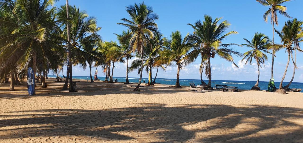 Puntacana Ecolodge Lavacama Beach Costa Arrecife By Aa Crypto Group Punta Cana Eksteriør bilde