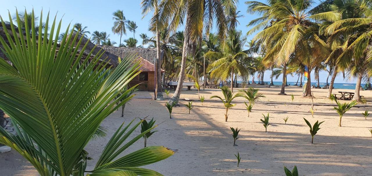 Puntacana Ecolodge Lavacama Beach Costa Arrecife By Aa Crypto Group Punta Cana Eksteriør bilde