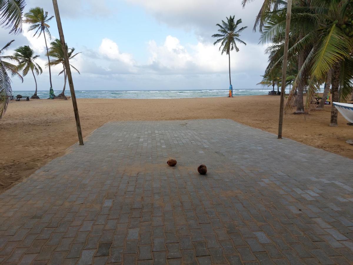 Puntacana Ecolodge Lavacama Beach Costa Arrecife By Aa Crypto Group Punta Cana Eksteriør bilde
