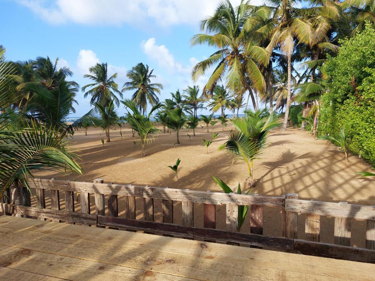 Puntacana Ecolodge Lavacama Beach Costa Arrecife By Aa Crypto Group Punta Cana Eksteriør bilde
