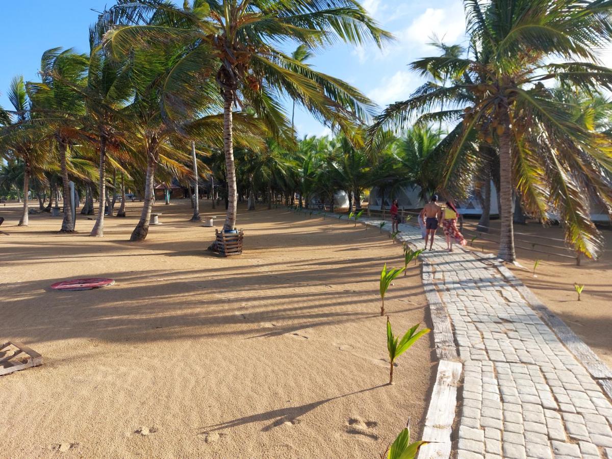 Puntacana Ecolodge Lavacama Beach Costa Arrecife By Aa Crypto Group Punta Cana Eksteriør bilde