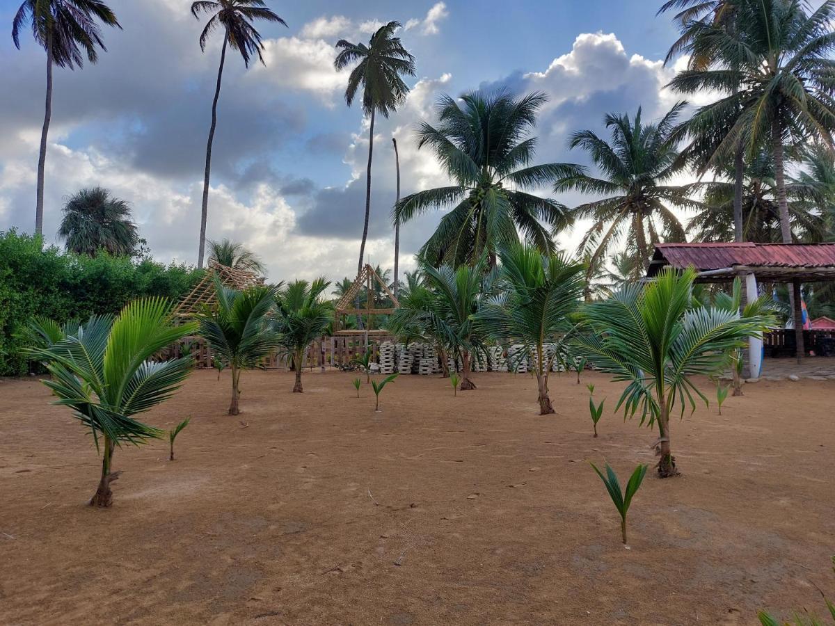 Puntacana Ecolodge Lavacama Beach Costa Arrecife By Aa Crypto Group Punta Cana Eksteriør bilde