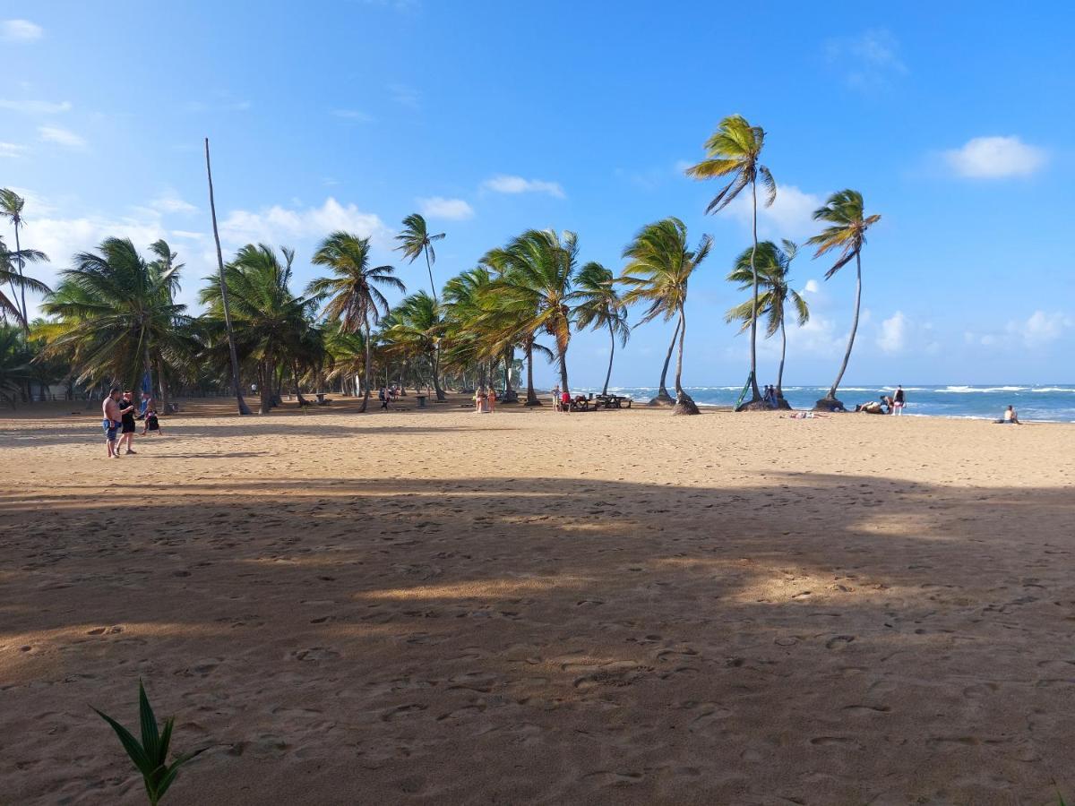 Puntacana Ecolodge Lavacama Beach Costa Arrecife By Aa Crypto Group Punta Cana Eksteriør bilde