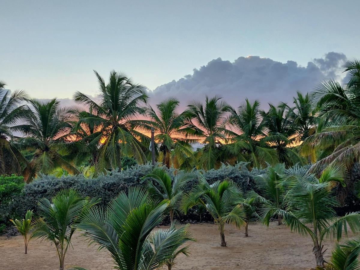 Puntacana Ecolodge Lavacama Beach Costa Arrecife By Aa Crypto Group Punta Cana Eksteriør bilde