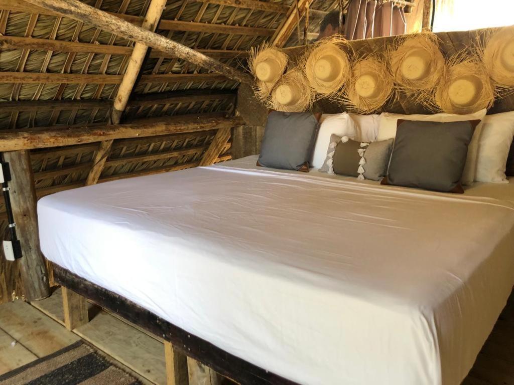 Puntacana Ecolodge Lavacama Beach Costa Arrecife By Aa Crypto Group Punta Cana Eksteriør bilde