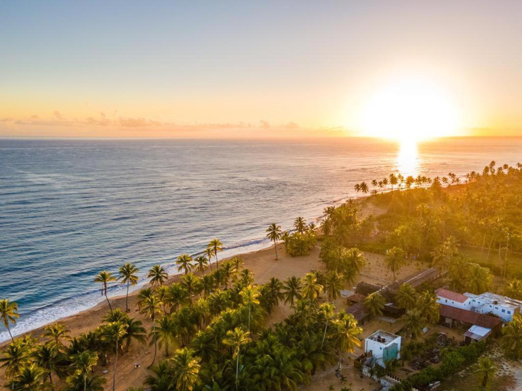 Puntacana Ecolodge Lavacama Beach Costa Arrecife By Aa Crypto Group Punta Cana Eksteriør bilde