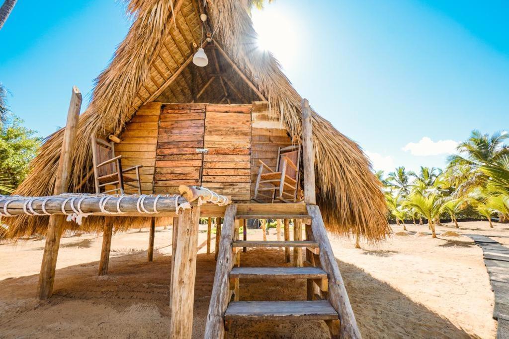 Puntacana Ecolodge Lavacama Beach Costa Arrecife By Aa Crypto Group Punta Cana Eksteriør bilde