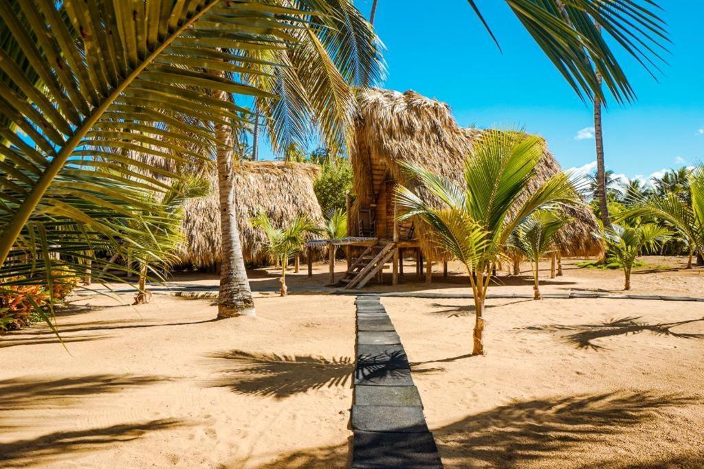 Puntacana Ecolodge Lavacama Beach Costa Arrecife By Aa Crypto Group Punta Cana Eksteriør bilde