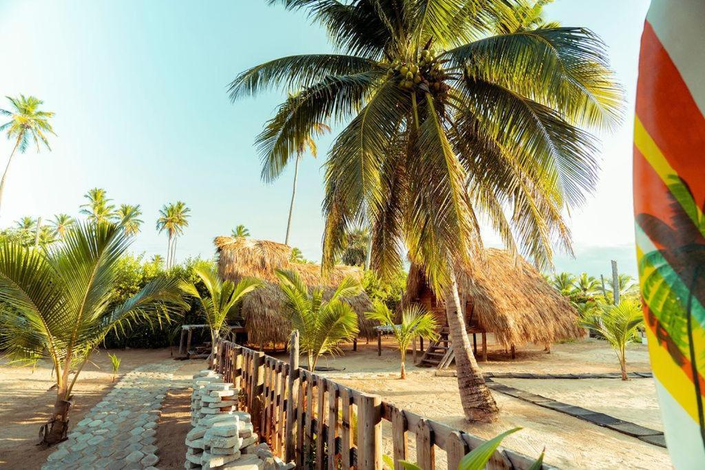 Puntacana Ecolodge Lavacama Beach Costa Arrecife By Aa Crypto Group Punta Cana Eksteriør bilde