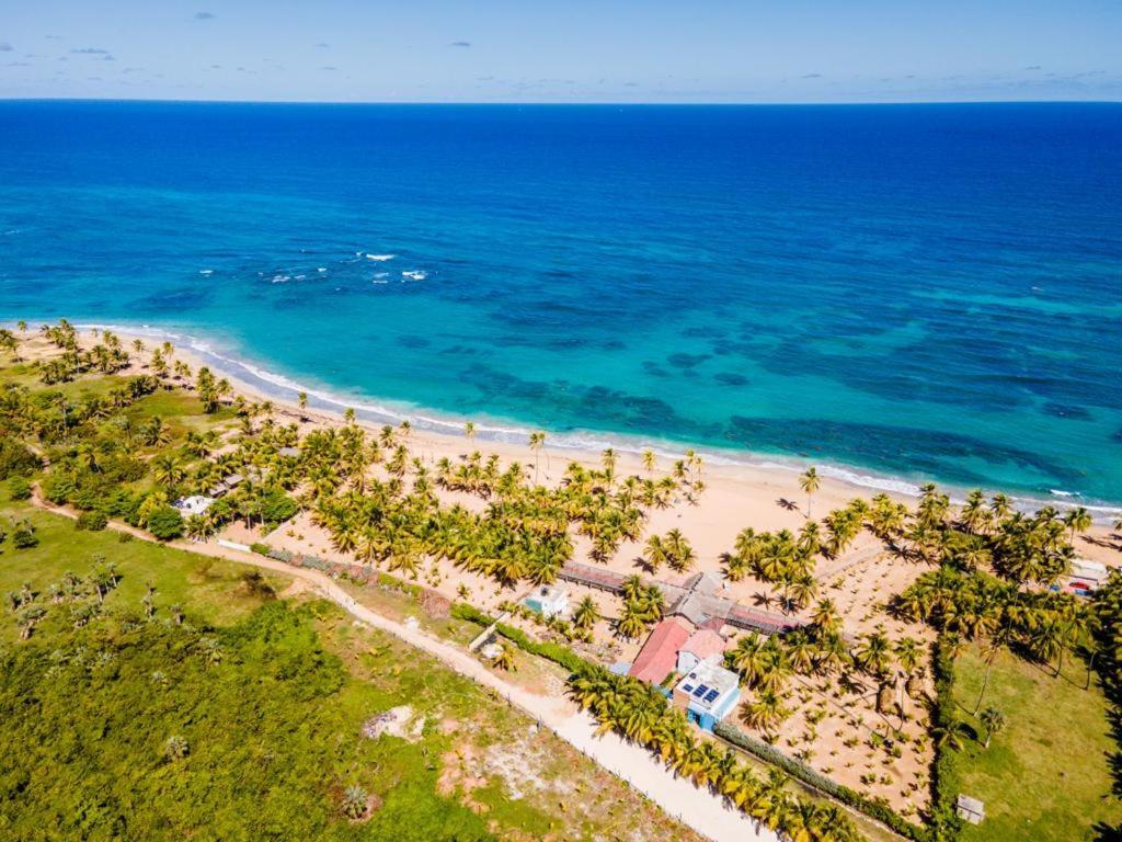 Puntacana Ecolodge Lavacama Beach Costa Arrecife By Aa Crypto Group Punta Cana Eksteriør bilde